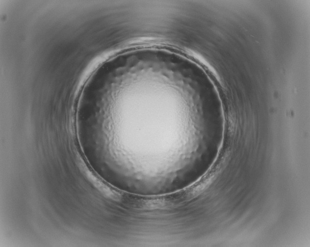 X0000076051421200609290957