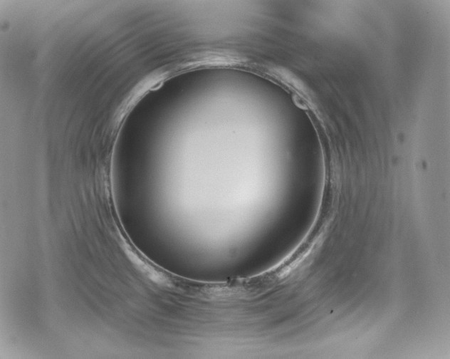 X0000076051433200609290957