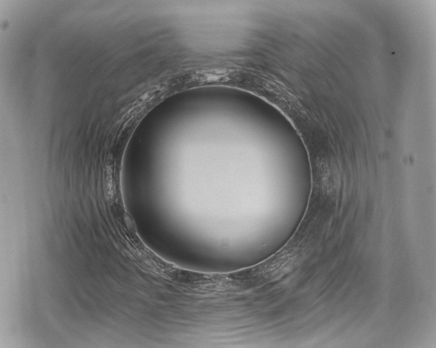 X0000076051442200609290957