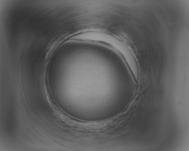 X0000076050001200610061522