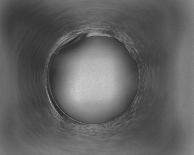X0000076050003200610061522