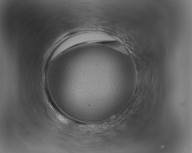 X0000076050005200610061522