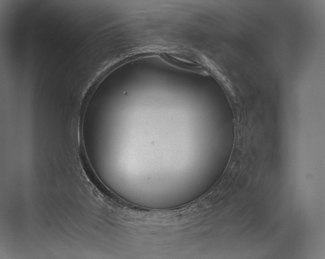 X0000076050011200610061522