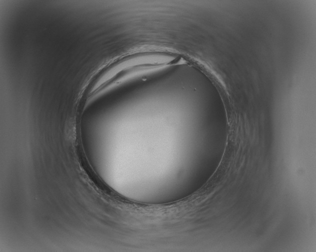 X0000076050015200610061522
