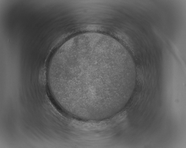 X0000076050016200610061522