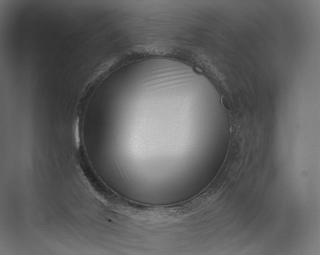 X0000076050020200610061522