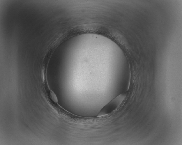 X0000076050021200610061522
