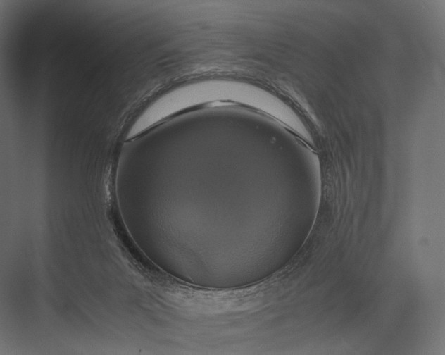 X0000076050023200610061522