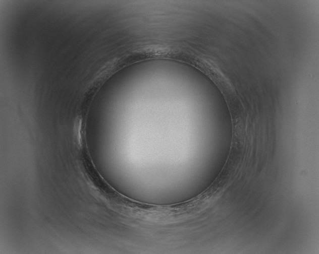 X0000076050024200610061522