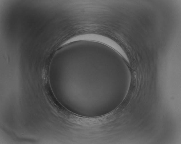 X0000076050031200610061522