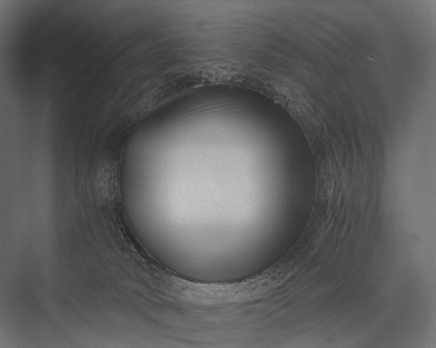 X0000076050034200610061522