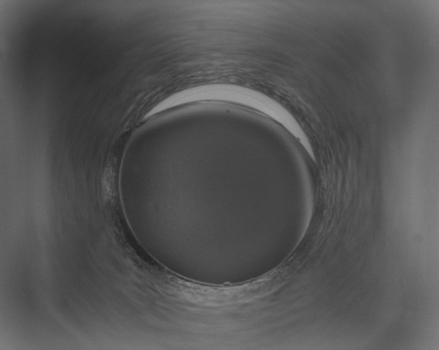 X0000076050035200610061522