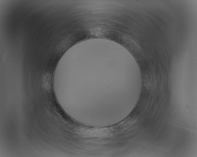 X0000076050036200610061522