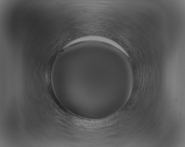 X0000076050039200610061521