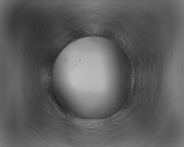 X0000076050040200610061521