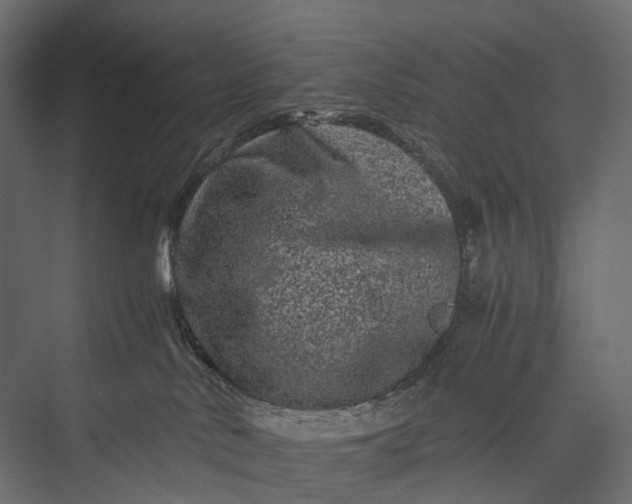 X0000076050042200610061521