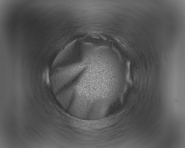 X0000076050046200610061521