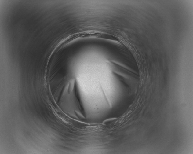 X0000076050050200610061520