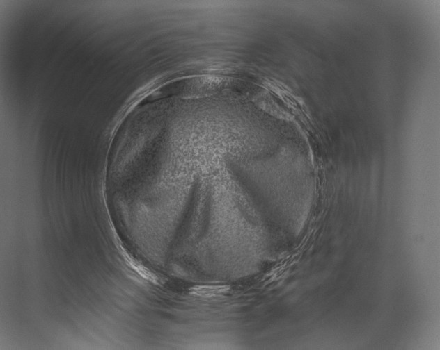 X0000076050051200610061521