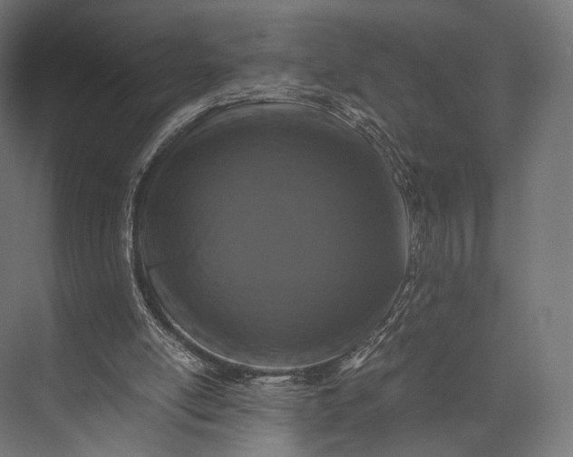 X0000076050054200610061521