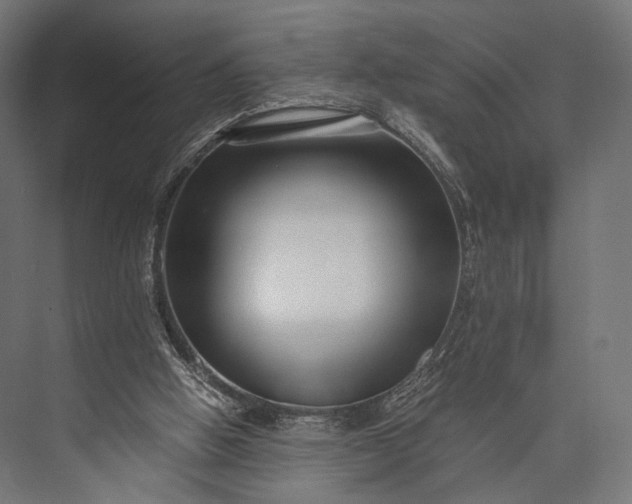 X0000076050058200610061521