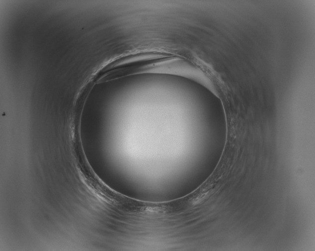 X0000076050060200610061521