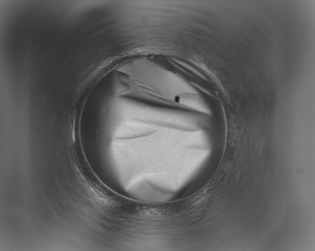 X0000076050062200610061521