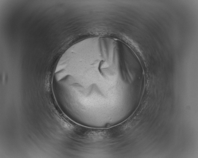 X0000076050065200610061521