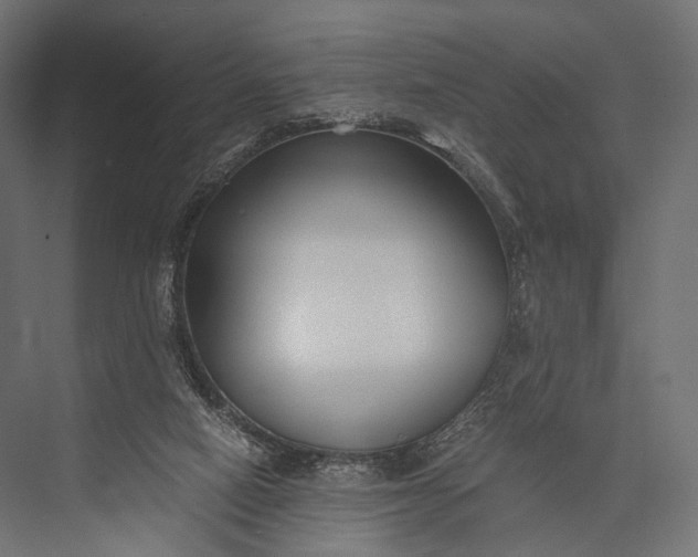 X0000076050066200610061521