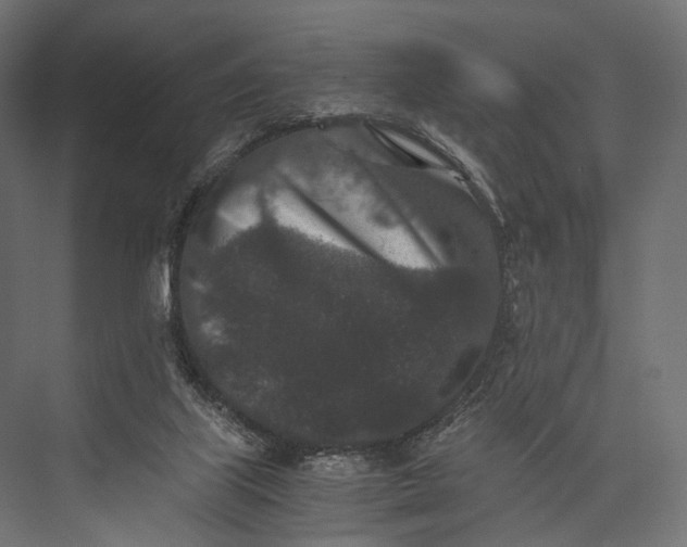 X0000076050067200610061521