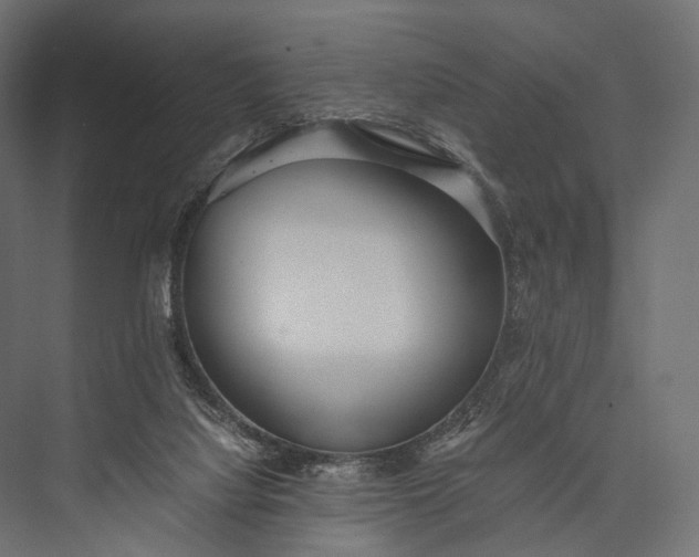 X0000076050068200610061521