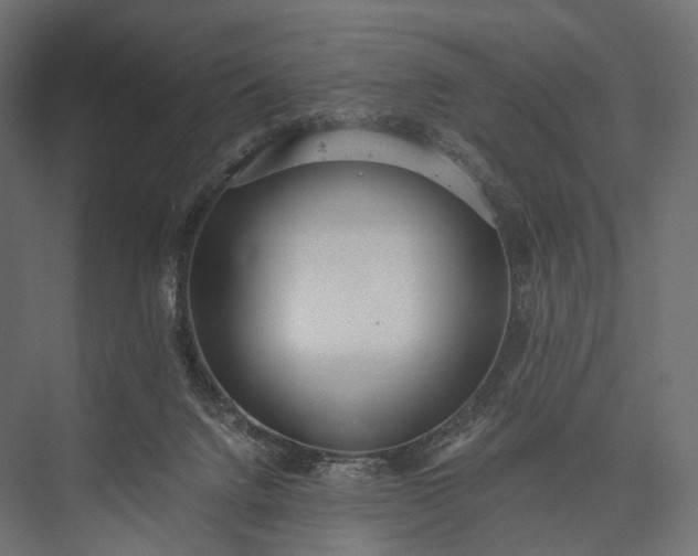 X0000076050072200610061521