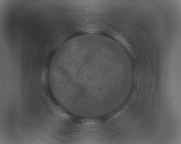 X0000076050073200610061521