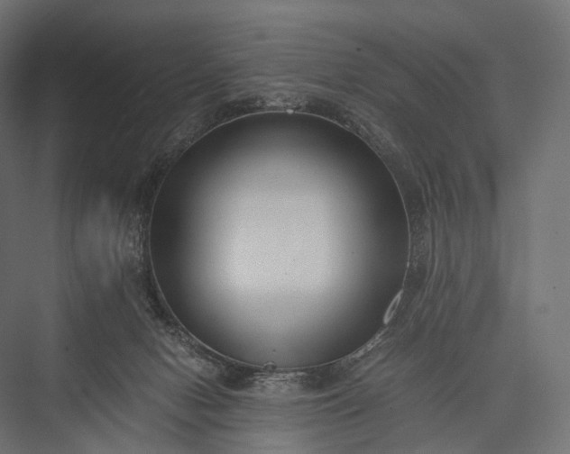X0000076050078200610061521