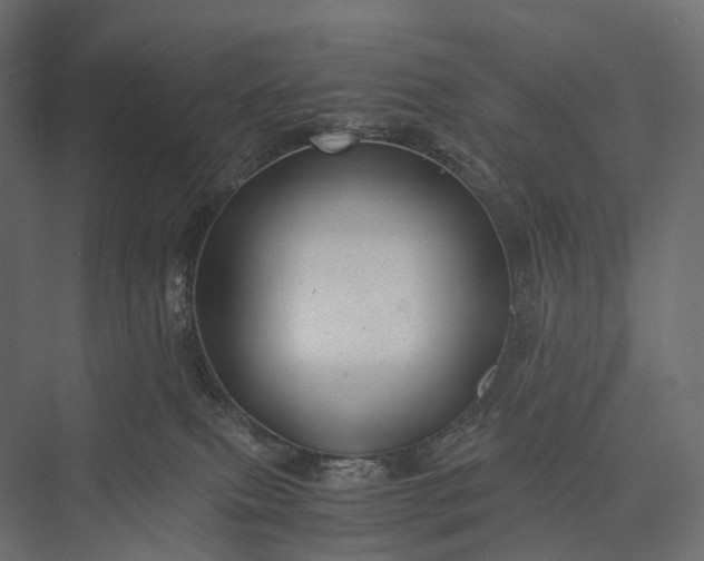 X0000076050087200610061521