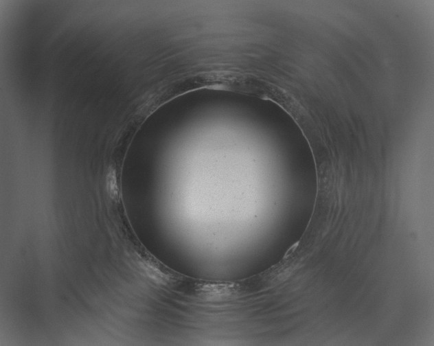 X0000076050089200610061521