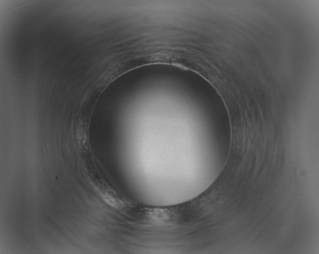 X0000076050091200610061521