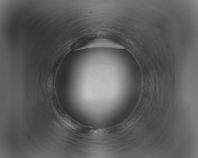 X0000076050092200610061521