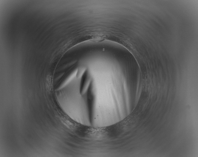 X0000076050093200610061521