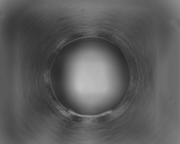 X0000076050096200610061521