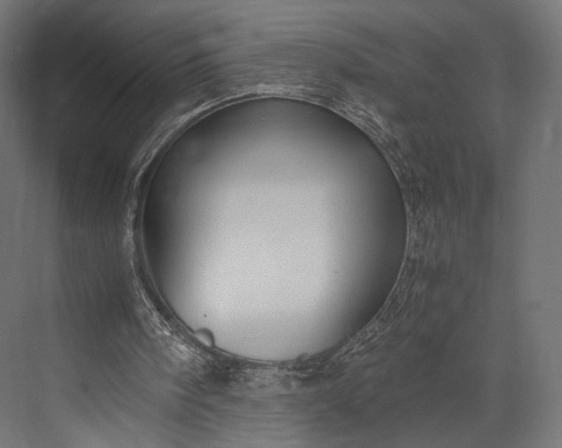 X0000076050098200610061520