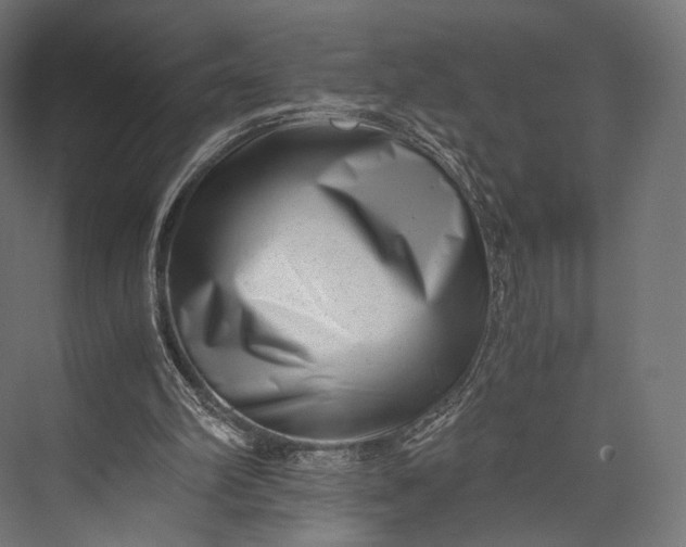 X0000076050102200610061520