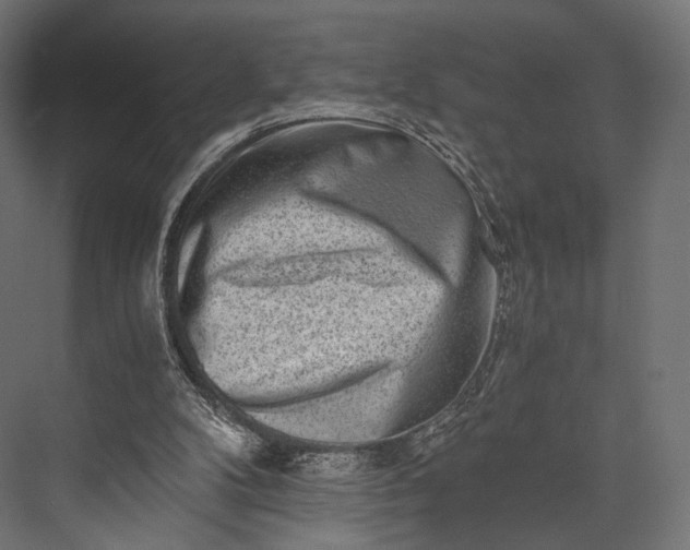 X0000076050104200610061520