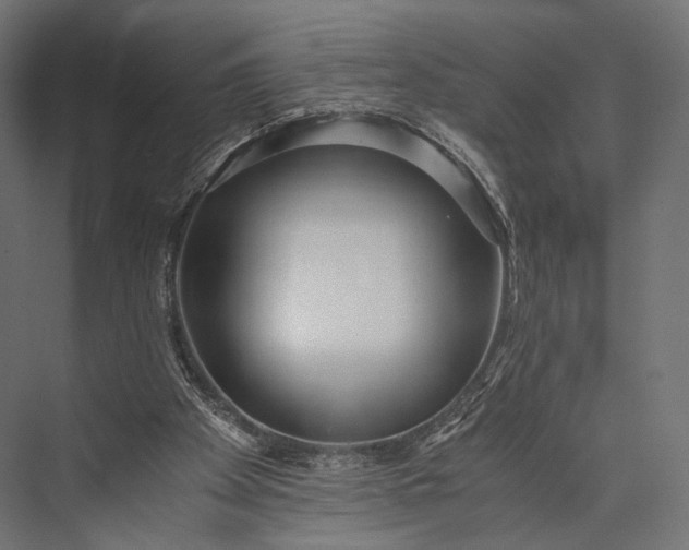 X0000076050105200610061520