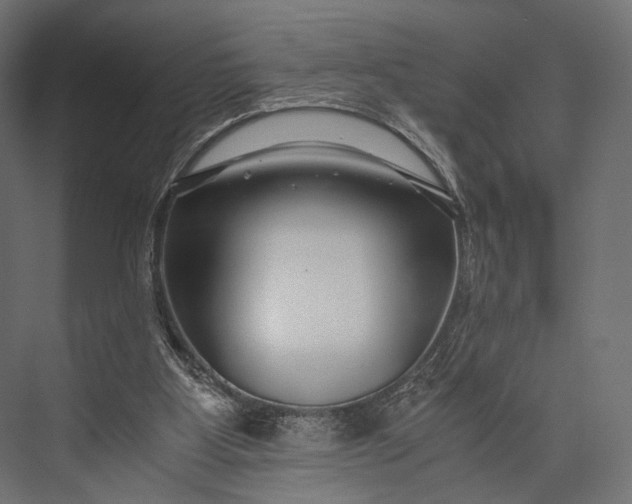 X0000076050107200610061520