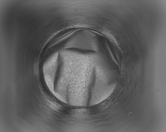 X0000076050108200610061520