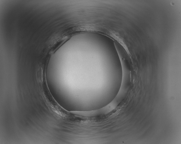 X0000076050109200610061520