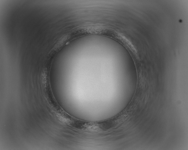 X0000076050113200610061520