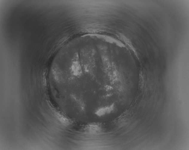 X0000076050114200610061520