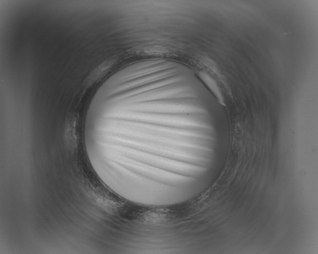 X0000076050116200610061520